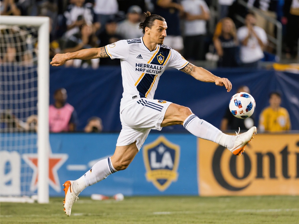 被彻底放大 被彻底放大