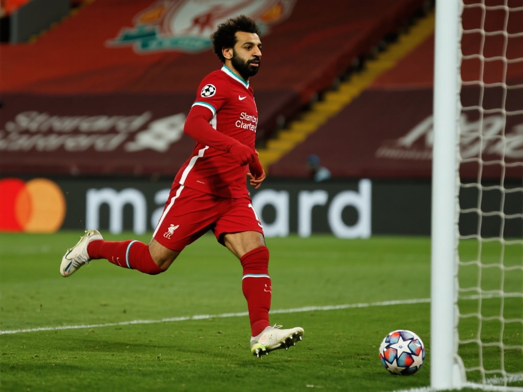 体系上的不 体系上的不